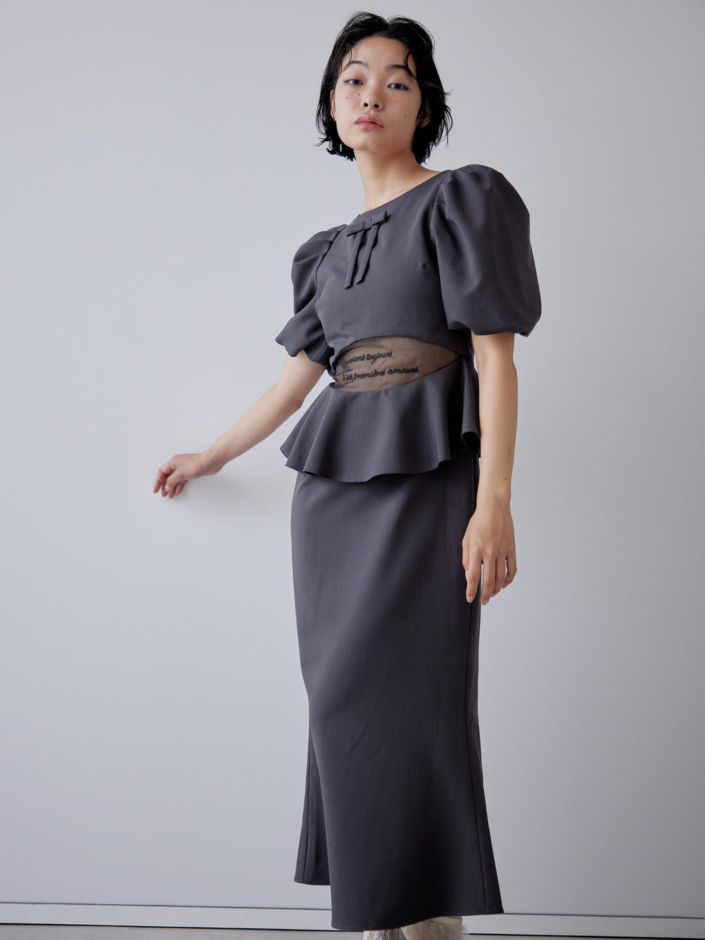 Sheer embroidered puff sleeve dress グレー size:M model:161cm 富樫かなえ