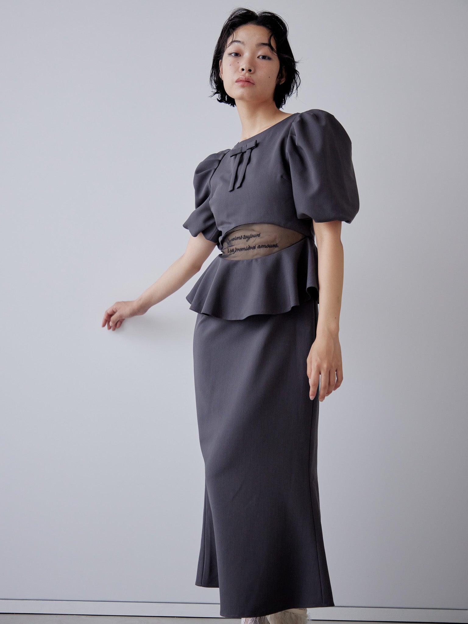Sheer embroidered puff sleeve dress グレー size:M model:161cm 富樫かなえ