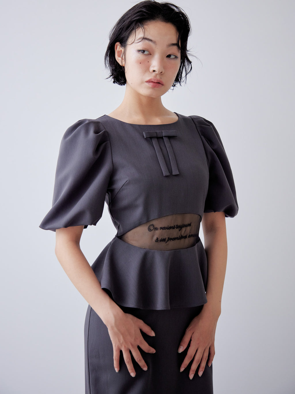 Sheer embroidered puff sleeve dress グレー size:M model:161cm 富樫かなえ