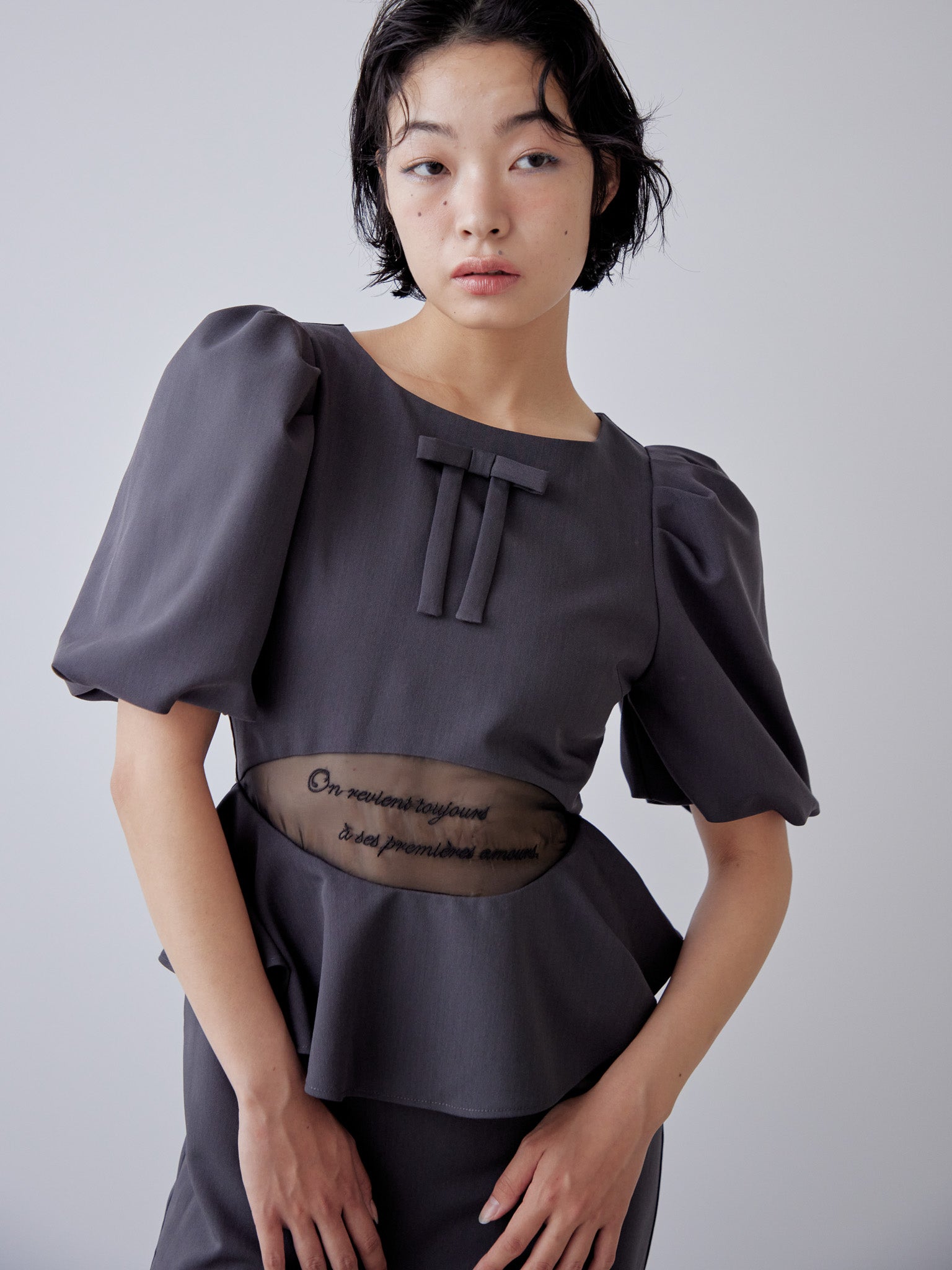 Sheer embroidered puff sleeve dress グレー size:M model:161cm 富樫かなえ