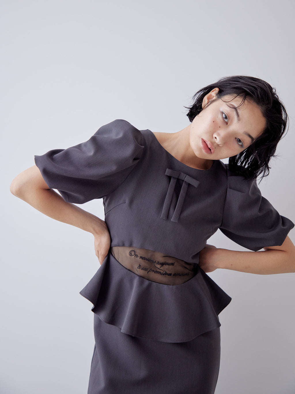 Sheer embroidered puff sleeve dress グレー size:M model:161cm 富樫かなえ