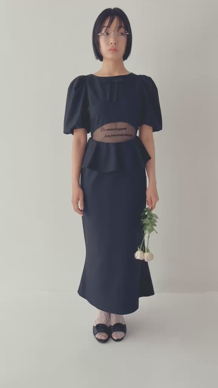 Sheer embroidered puff sleeve dress