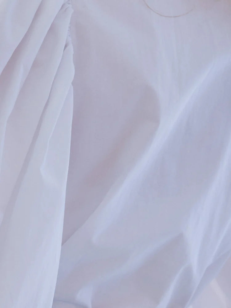 Many ribbon volume sleeve blouse detail